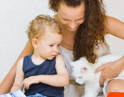 宠物在你的家庭中，到底有多重要？
